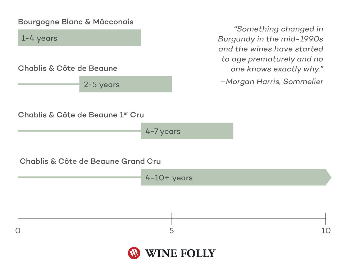 Aging White Burgundy Cellar Chart by Wine Folly