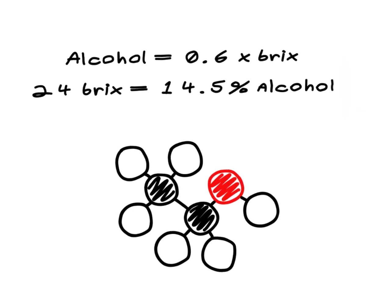 brix-alcohol-calculation