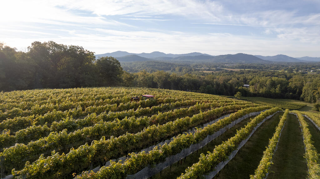 Veritas Winery Image