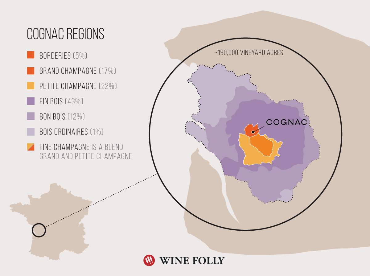 Cognac Region Wine Map by Wine Folly
