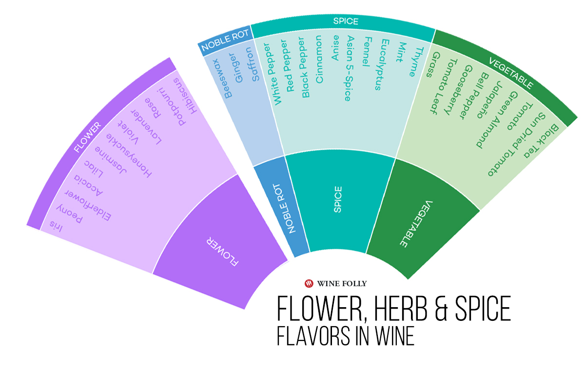 Flower herb and spice flavors in wine - infographic by Wine Folly