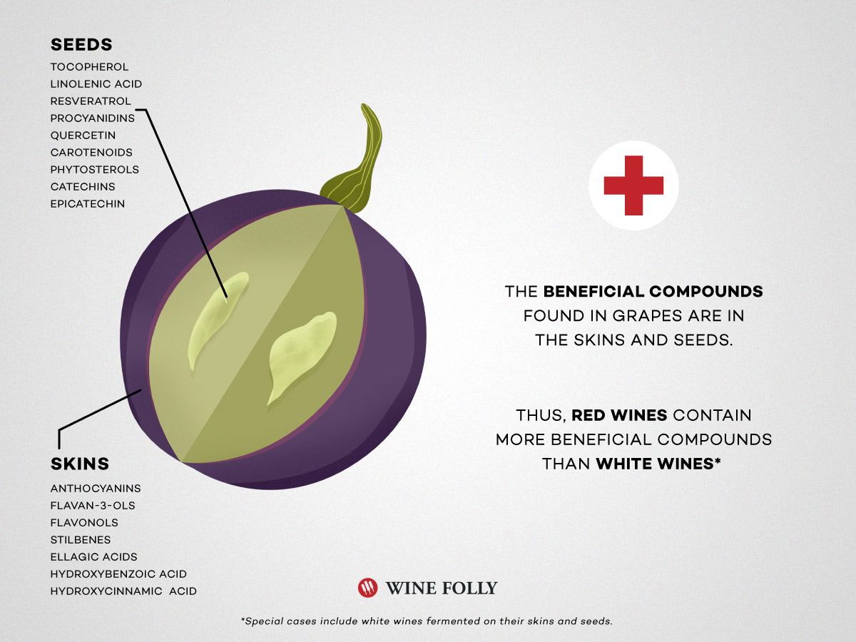 Wine grape cutaway with health benefits compounds listed by Wine Folly
