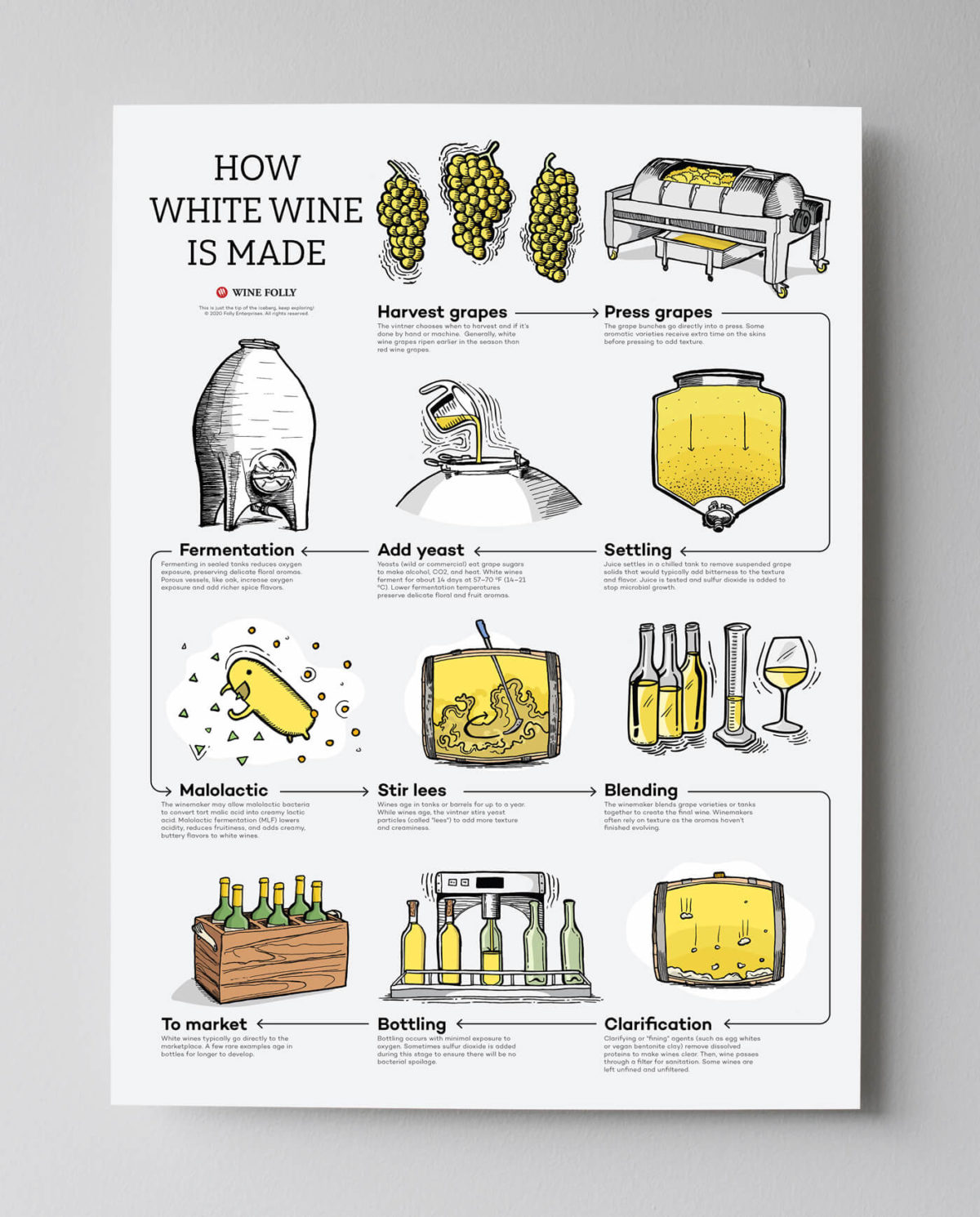 how-white-wine-is-made-poster-gray-bg