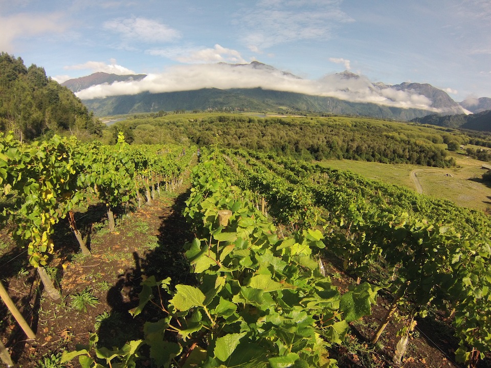 Southern-chilean-wine-regions