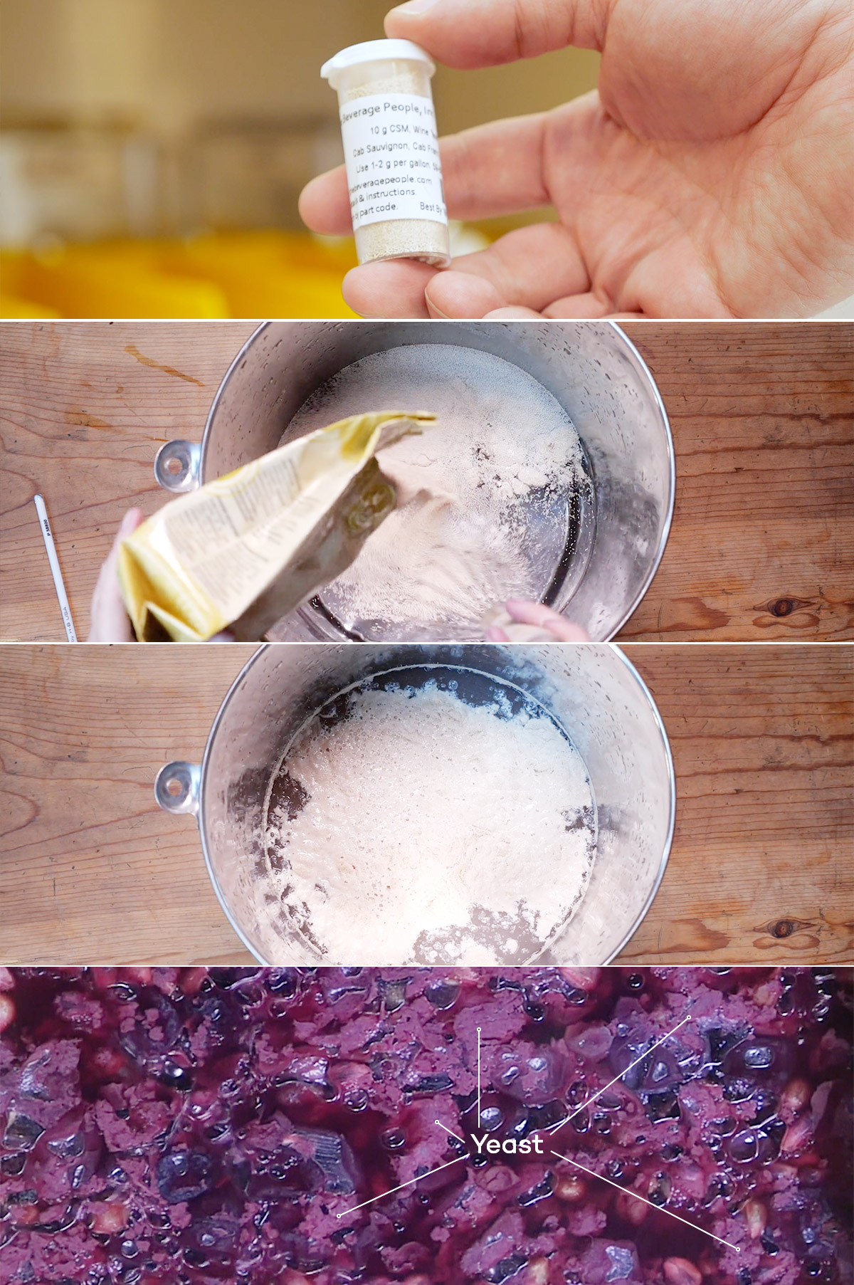 Commercial wine yeasts and how they're activated in wine