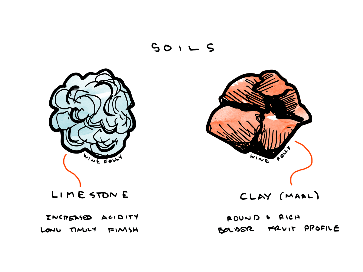 Cote des Bar Champagne soils